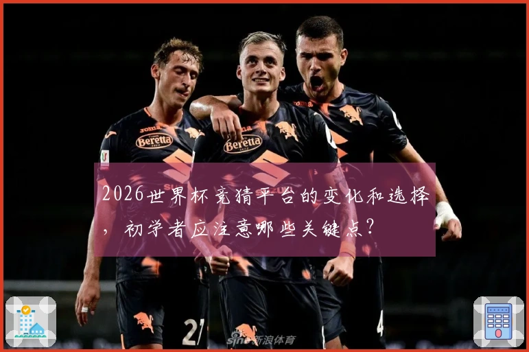 2026世界杯竞猜平台的变化和选择，初学者应注意哪些关键点？