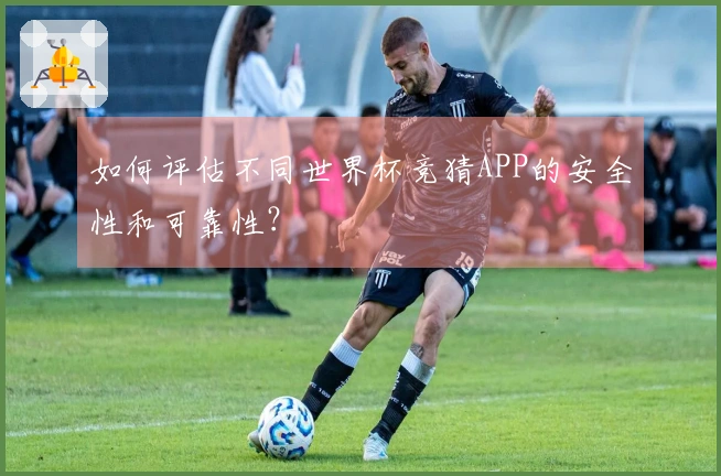 如何评估不同世界杯竞猜APP的安全性和可靠性？