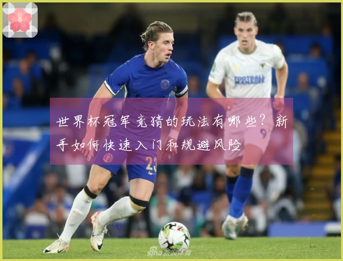 世界杯冠军竞猜的玩法有哪些？新手如何快速入门和规避风险