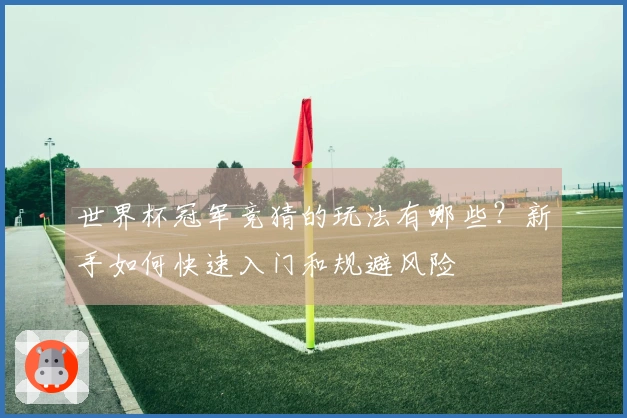 世界杯冠军竞猜的玩法有哪些？新手如何快速入门和规避风险