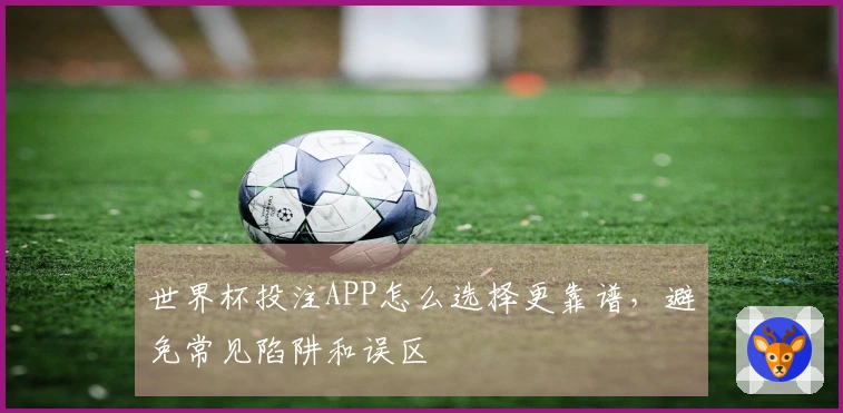 世界杯投注APP怎么选择更靠谱，避免常见陷阱和误区