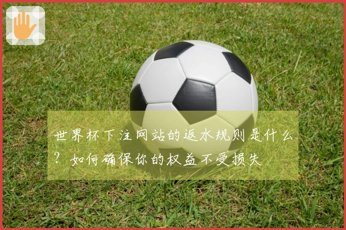世界杯下注网站的返水规则是什么？如何确保你的权益不受损失